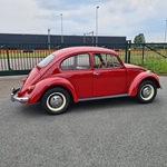 1966 Volkswagen kever oldtimer te koop