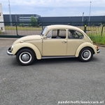 1968 Volkswagen kever oldtimer te koop