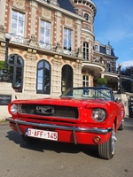 1966 Ford mustang oldtimer te koop