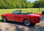 1966 Ford mustang oldtimer te koop