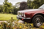 1981 Jaguar XJ6 Series III oldtimer te koop