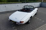 1966 Alfa Romeo Spider 1600 Duetto oldtimer te koop