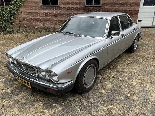 1982 Daimler XJ oldtimer te koop
