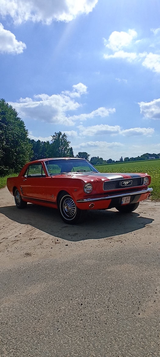 1966 Ford Mustang V8 5000cc oldtimer te koop