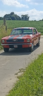 1966 Ford Mustang V8 5000cc oldtimer te koop