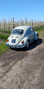 1968 Volkswagen kever 1300 oldtimer te koop