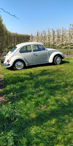 1968 Volkswagen kever 1300 oldtimer te koop