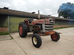 1969 Massey Ferguson MF 1100 oldtimer te koop