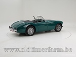 1954 Austin-Healey 100/4 BN1 oldtimer te koop