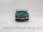 1954 Austin-Healey 100/4 BN1 oldtimer te koop