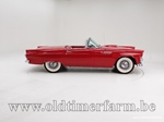 1955 Ford Thunderbird oldtimer te koop