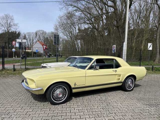 1967 Ford Mustang oldtimer te koop