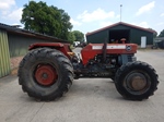 Massey Ferguson MF188 4WD oldtimer te koop