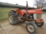 Massey Ferguson MF1095 Six-cylinder oldtimer te koop