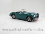 1954 Austin-Healey 100/4 BN1 oldtimer te koop