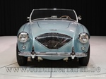 1954 Austin-Healey 100/4 BN 1 oldtimer te koop