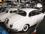 1961 Jaguar MK2 - white oldtimer te koop