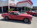 1966 Ford Mustang oldtimer te koop