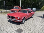 1966 Ford Mustang oldtimer te koop