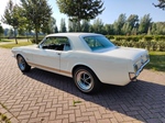 1965 Ford Mustang Hardtop Coupe V8 oldtimer te koop