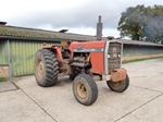 1977 Massey Ferguson MF 1155 oldtimer te koop