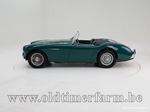 1954 Austin-Healey 100/4 BN1 oldtimer te koop