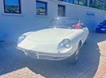 1967 Alfa Romeo Spider 1600 'Osso di seppia' oldtimer te koop