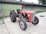 1959 Massey Ferguson MF35 (FE35) oldtimer te koop