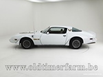 1981 Pontiac Firebird II Trans AM  oldtimer te koop