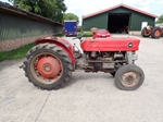 1970 Massey Ferguson MF140 Vineyard Diesel oldtimer te koop