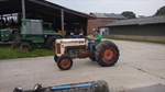 1956 Massey Ferguson F40 oldtimer te koop