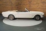 1966 Ford Mustang oldtimer te koop