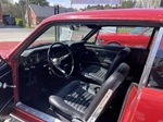 1966 Ford Mustang oldtimer te koop