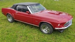 1969 Ford Mustang oldtimer te koop