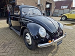 1950 Volkswagen brilkever oldtimer te koop