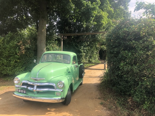 1954 Chevrolet 3100 oldtimer te koop