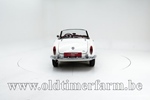 1965 Alfa Romeo 1600 Giulia Spider oldtimer te koop