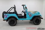 1978 Jeep Jeep oldtimer te koop