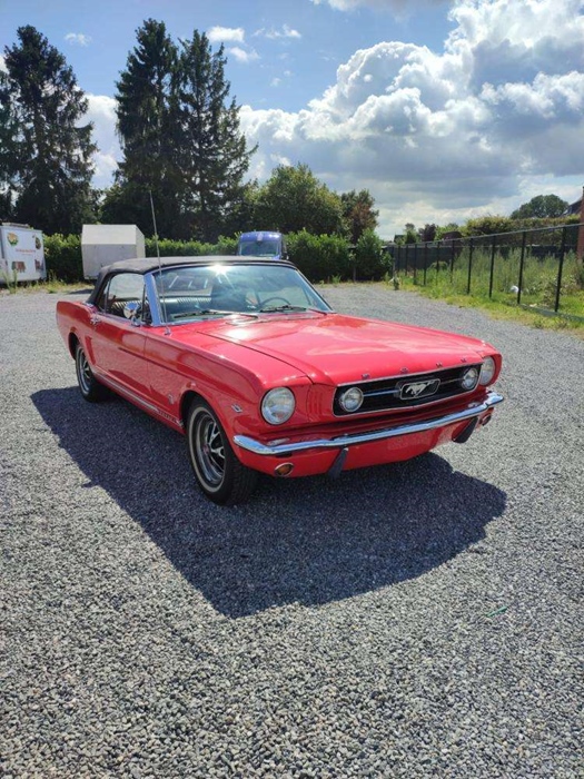 1966 Ford Mustang oldtimer te koop