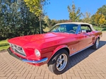 1968 Ford Mustang Convertible V8 5 Speed oldtimer te koop