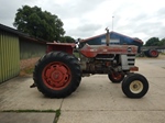 1969 Massey Ferguson MF 1100 oldtimer tractor te koop