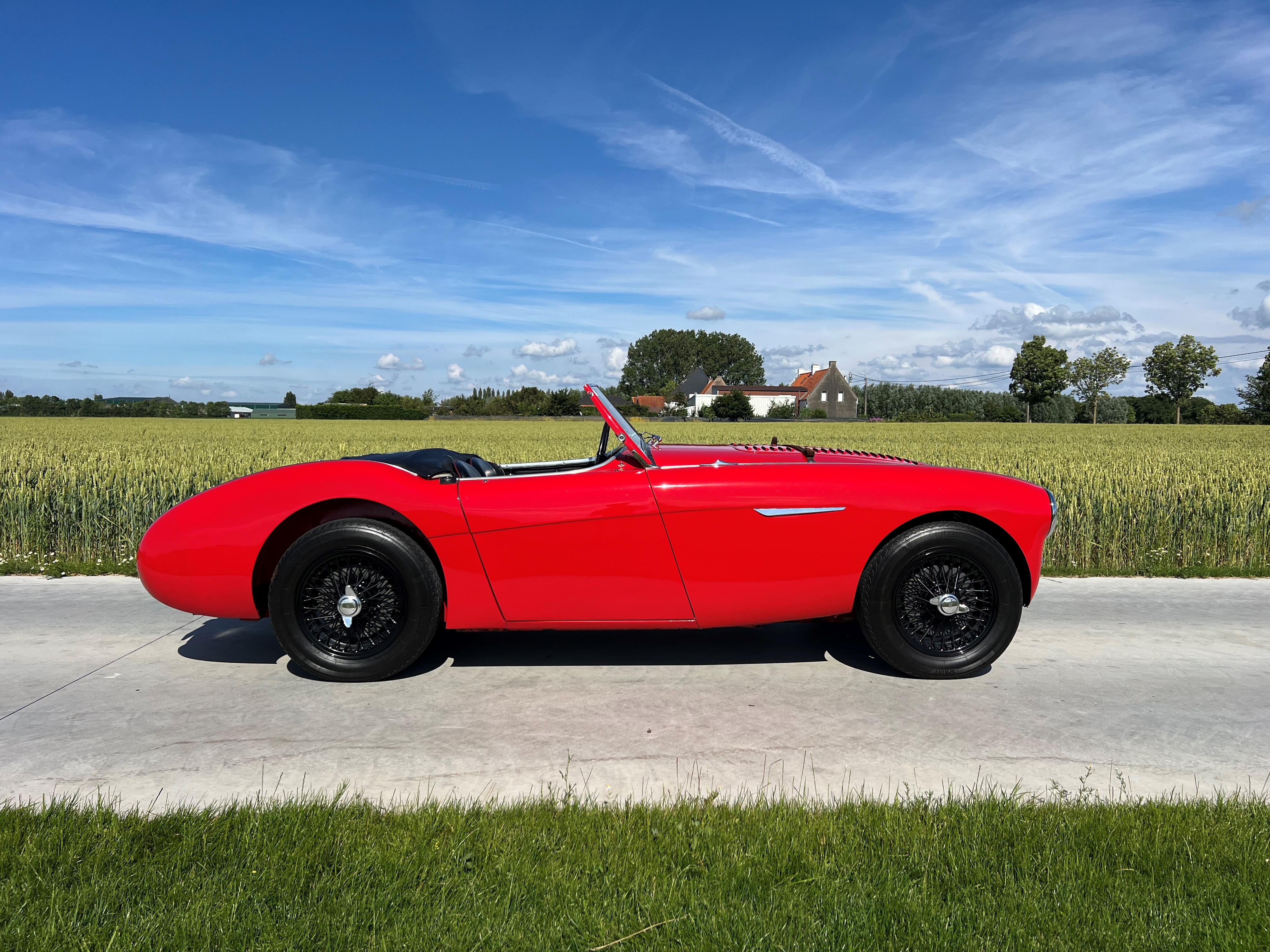 1954 Austin-Healey 100/4  oldtimer te koop