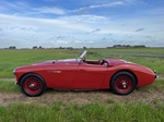 1954 Austin-Healey 100/4 oldtimer te koop