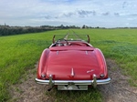 1954 Austin-Healey 100/4 oldtimer te koop