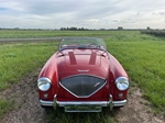 1954 Austin-Healey 100/4 oldtimer te koop