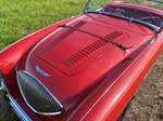 1954 Austin-Healey 100/4 oldtimer te koop