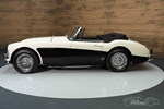 1964 Austin-Healey oldtimer te koop