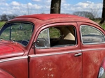 1959 Volkswagen kever oldtimer te koop