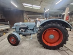 1962 Eicher koningstiger  em300 oldtimer tractor te koop