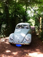 1959 Volkswagen Kever oldtimer te koop